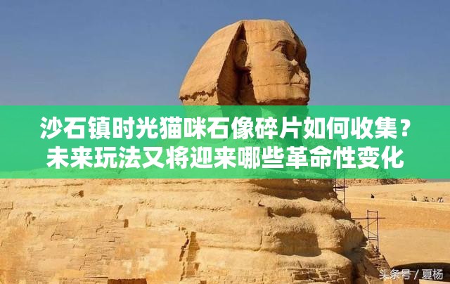 沙石镇时光猫咪石像碎片如何收集？未来玩法又将迎来哪些革命性变化？