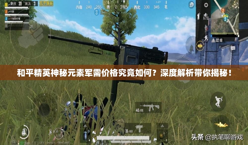 和平精英神秘元素军需价格究竟如何？深度解析带你揭秘！