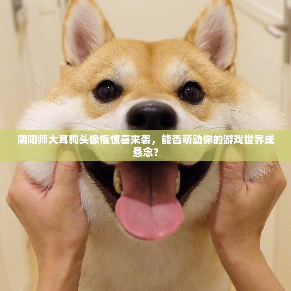 阴阳师大耳狗头像框惊喜来袭，能否萌动你的游戏世界成悬念？