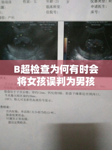 B超检查为何有时会将女孩误判为男孩？原因解析与科学解释