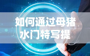如何通过母猪水门特写提高养殖效益？