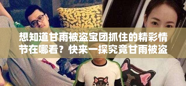 想知道甘雨被盗宝团抓住的精彩情节在哪看？快来一探究竟甘雨被盗宝团抓住的相关内容究竟在哪能看到？答案在这里好奇甘雨被盗宝团抓住的片段在哪看？揭晓最佳观看途径