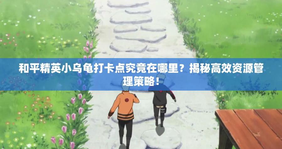 和平精英小乌龟打卡点究竟在哪里？揭秘高效资源管理策略！