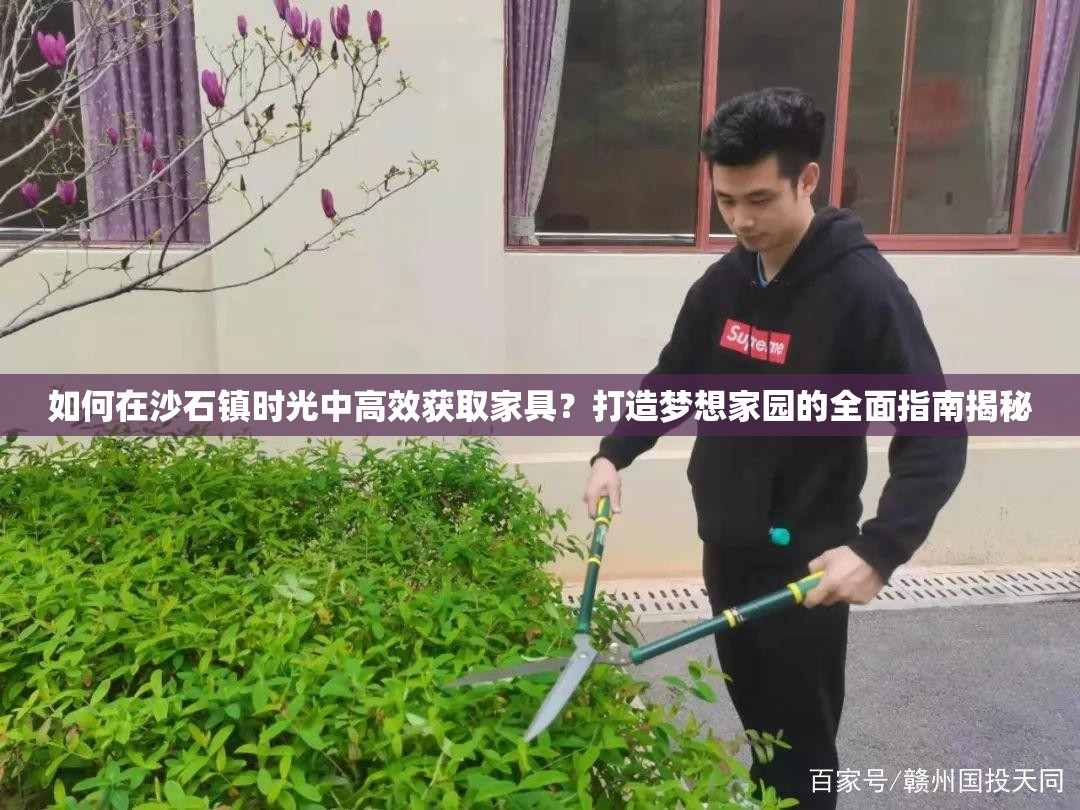 如何在沙石镇时光中高效获取家具？打造梦想家园的全面指南揭秘