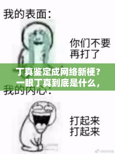 丁真鉴定成网络新梗？一眼丁真到底是什么，全面攻略带你揭秘！