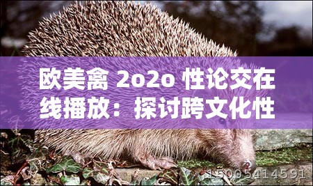 欧美禽 2o2o 性论交在线播放：探讨跨文化性行为的争议与思考