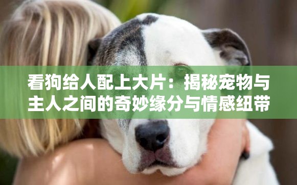 看狗给人配上大片：揭秘宠物与主人之间的奇妙缘分与情感纽带