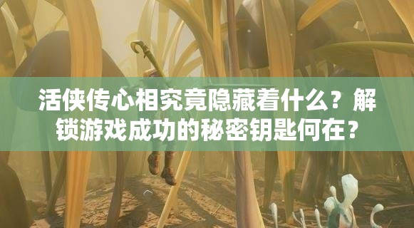 活侠传心相究竟隐藏着什么？解锁游戏成功的秘密钥匙何在？