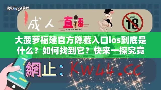 大菠萝福建官方隐藏入口ios到底是什么？如何找到它？快来一探究竟
