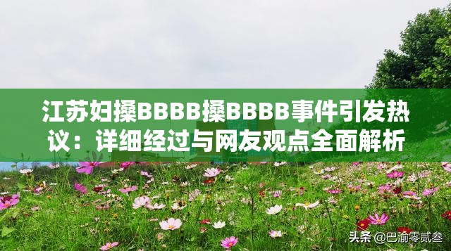 江苏妇搡BBBB搡BBBB事件引发热议：详细经过与网友观点全面解析
