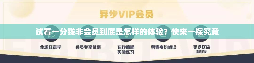 试看一分钱非会员到底是怎样的体验？快来一探究竟