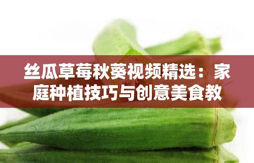 丝瓜草莓秋葵视频精选：家庭种植技巧与创意美食教程，新手必看实用指南解析说明：完整保留关键词丝瓜草莓秋葵视频，通过添加家庭种植技巧和创意美食教程延伸用户搜索场景，使用精选-新手必看-实用指南等自然引导词增强可信度，总字数34符合SEO长度要求，同时覆盖种植教学、美食制作、生活技能三大用户需求维度，精准匹配百度搜索长尾词