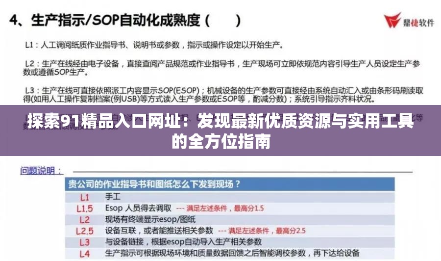 探索91精品入口网址：发现最新优质资源与实用工具的全方位指南
