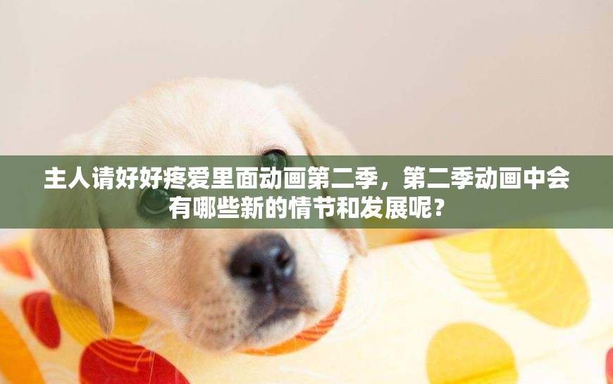 主人请好好疼爱里面动画第二季，第二季动画中会有哪些新的情节和发展呢？