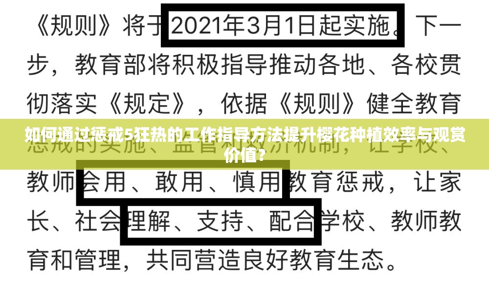 如何通过惩戒5狂热的工作指导方法提升樱花种植效率与观赏价值？