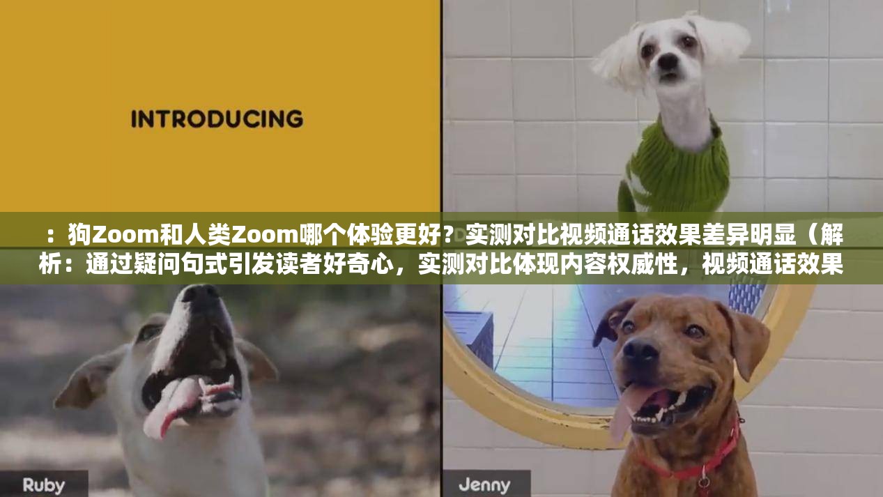 ：狗Zoom和人类Zoom哪个体验更好？实测对比视频通话效果差异明显（解析：通过疑问句式引发读者好奇心，实测对比体现内容权威性，视频通话效果精准定位使用场景，差异明显制造悬念吸引点击，完整保留狗Zoom和人类Zoom关键词组合，符合百度搜索习惯的自然长尾词结构）