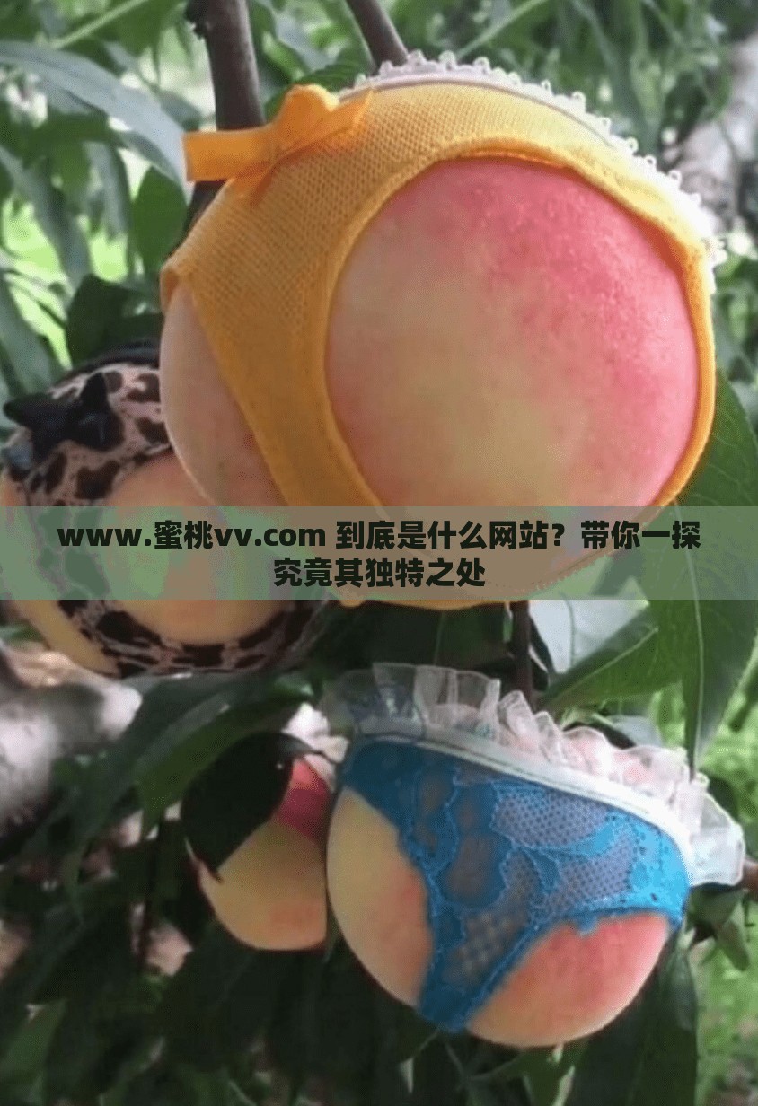 www.蜜桃vv.com 到底是什么网站？带你一探究竟其独特之处
