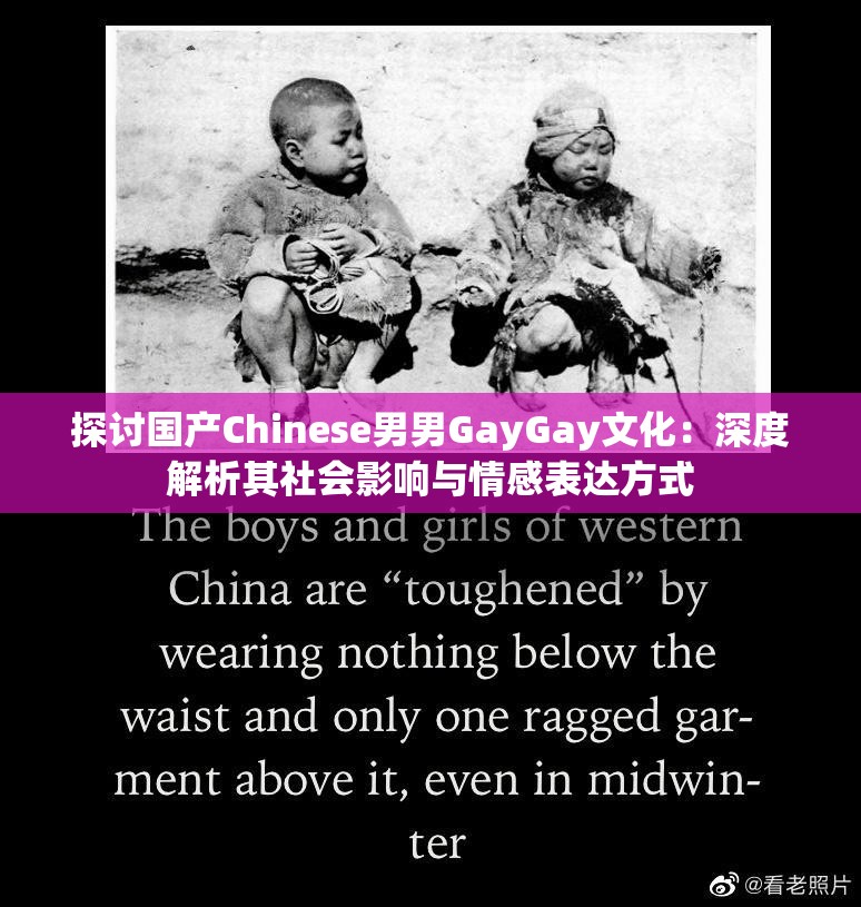探讨国产Chinese男男GayGay文化：深度解析其社会影响与情感表达方式