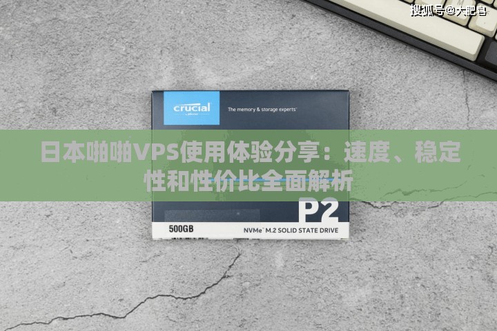 日本啪啪VPS使用体验分享：速度、稳定性和性价比全面解析