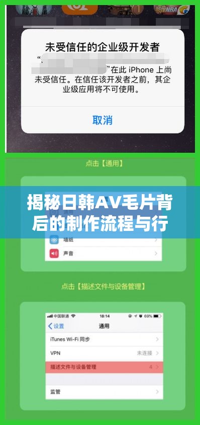 揭秘日韩AV毛片背后的制作流程与行业现状：你不知道的内幕与真相大公开