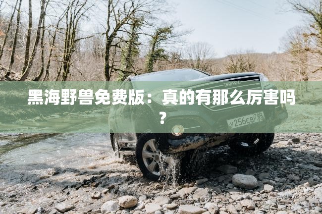 黑海野兽免费版：真的有那么厉害吗？