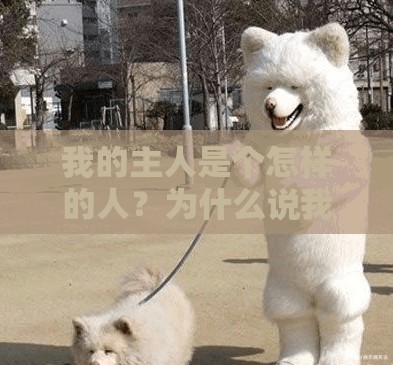 我的主人是个怎样的人？为什么说我是贱母狗？百家号揭秘