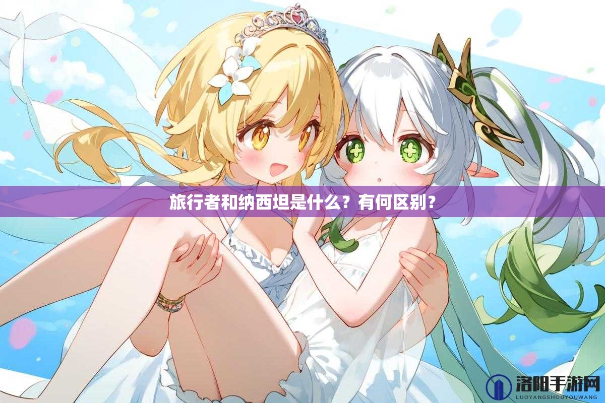 旅行者和纳西坦是什么？有何区别？