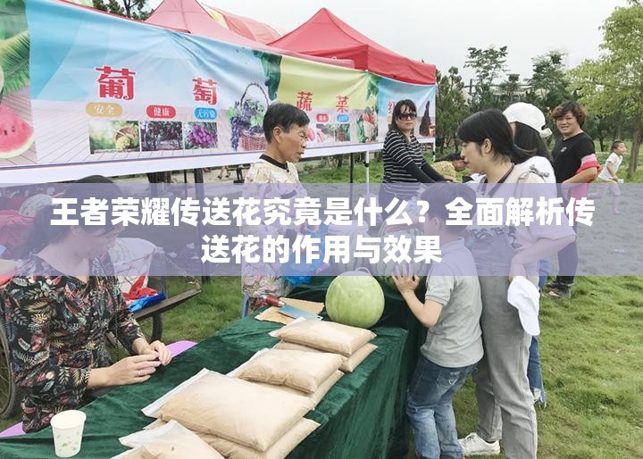 王者荣耀传送花究竟是什么？全面解析传送花的作用与效果