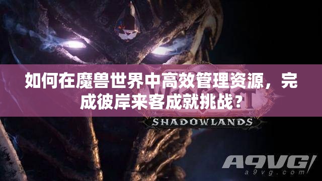 如何在魔兽世界中高效管理资源，完成彼岸来客成就挑战？