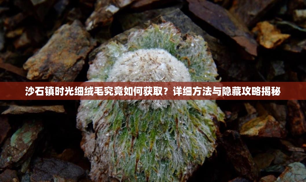沙石镇时光细绒毛究竟如何获取？详细方法与隐藏攻略揭秘