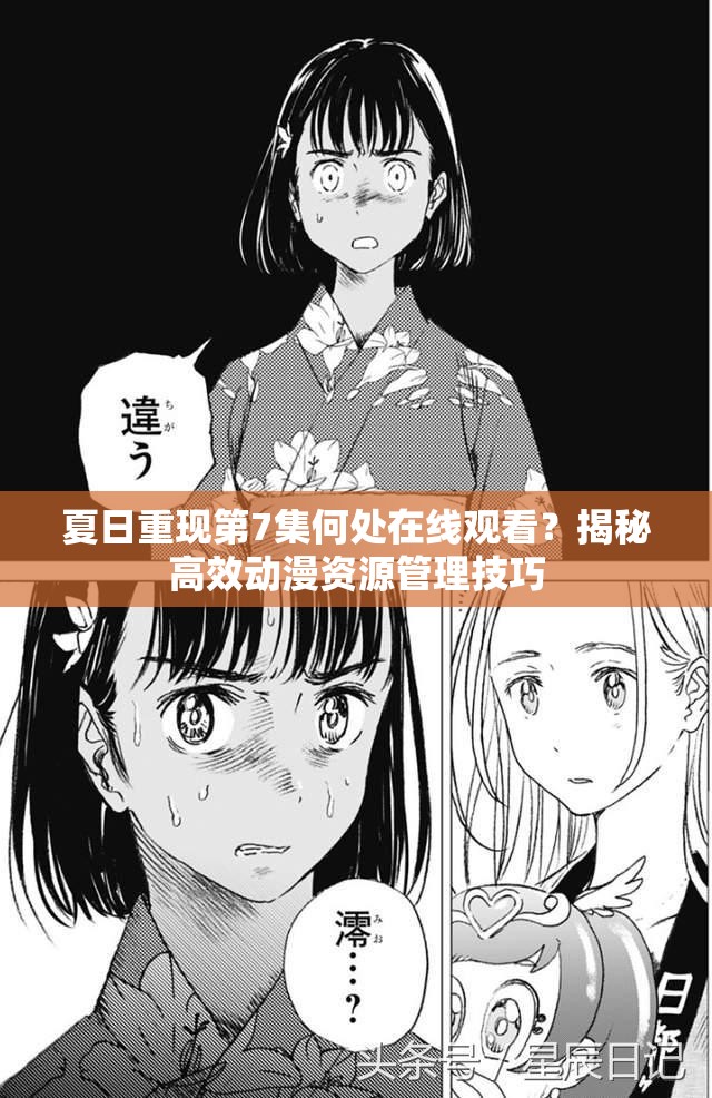 夏日重现第7集何处在线观看？揭秘高效动漫资源管理技巧