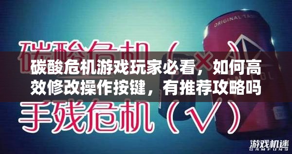碳酸危机游戏玩家必看，如何高效修改操作按键，有推荐攻略吗？