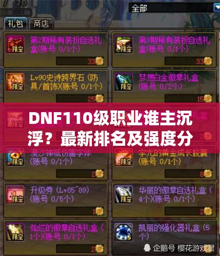 DNF110级职业谁主沉浮？最新排名及强度分析揭晓悬念！