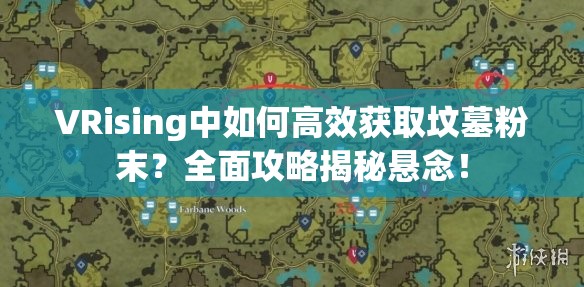 VRising中如何高效获取坟墓粉末？全面攻略揭秘悬念！