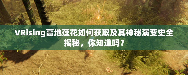 VRising高地莲花如何获取及其神秘演变史全揭秘，你知道吗？