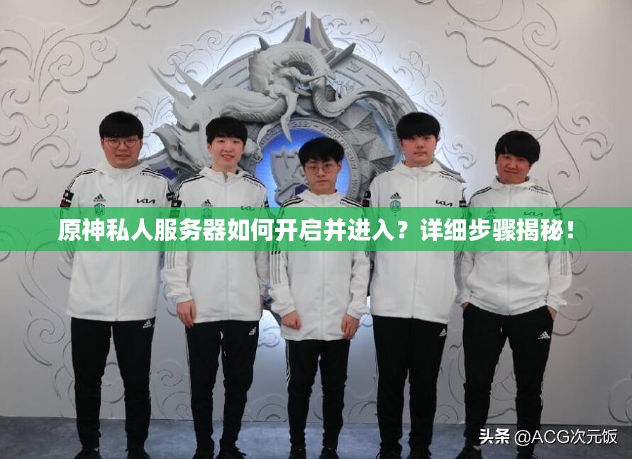 原神私人服务器如何开启并进入？详细步骤揭秘！