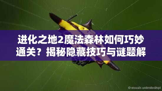 进化之地2魔法森林如何巧妙通关？揭秘隐藏技巧与谜题解答！