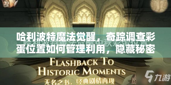 哈利波特魔法觉醒，奇踪调查彩蛋位置如何管理利用，隐藏秘密待解？
