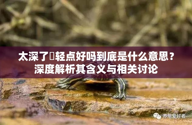 太深了⋯轻点好吗到底是什么意思？深度解析其含义与相关讨论