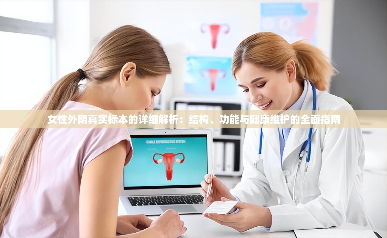 女性外阴真实标本的详细解析：结构、功能与健康维护的全面指南