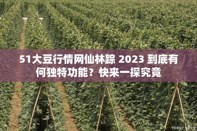 51大豆行情网仙林踪 2023 到底有何独特功能？快来一探究竟
