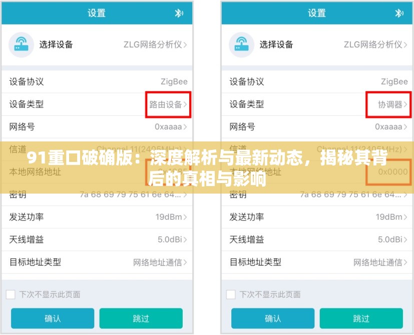 91重口破确版：深度解析与最新动态，揭秘其背后的真相与影响