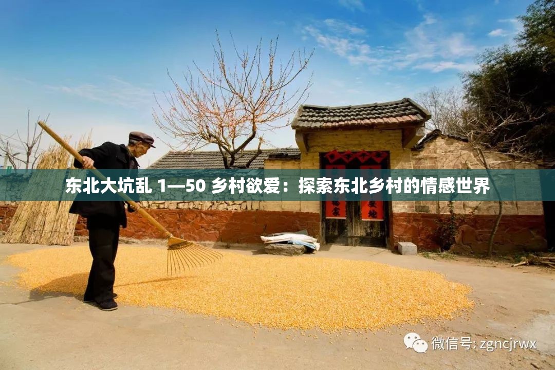 东北大坑乱 1—50 乡村欲爱：探索东北乡村的情感世界