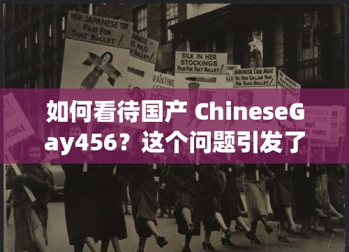 如何看待国产 ChineseGay456？这个问题引发了网友的热烈讨论