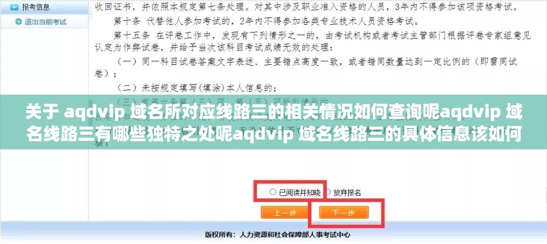 关于 aqdvip 域名所对应线路三的相关情况如何查询呢aqdvip 域名线路三有哪些独特之处呢aqdvip 域名线路三的具体信息该如何了解呢