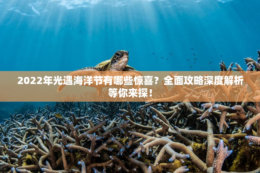2022年光遇海洋节有哪些惊喜？全面攻略深度解析等你来探！