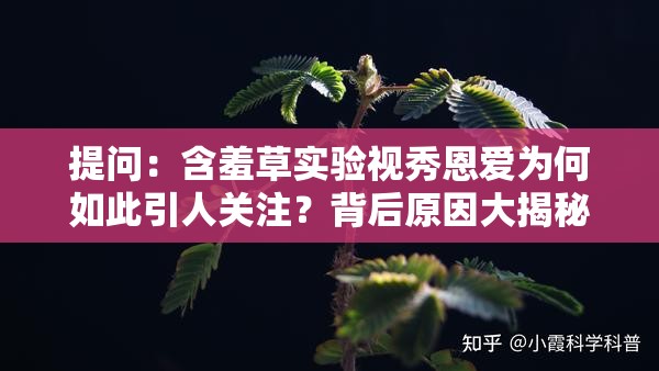 提问：含羞草实验视秀恩爱为何如此引人关注？背后原因大揭秘
