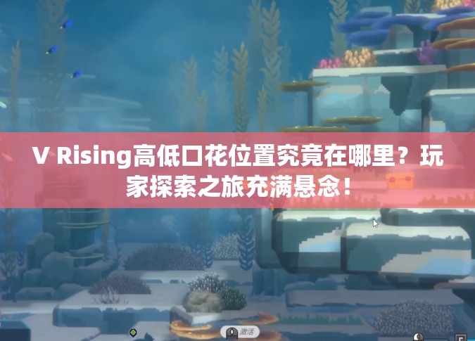 V Rising高低口花位置究竟在哪里？玩家探索之旅充满悬念！