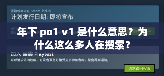 年下 po1 v1 是什么意思？为什么这么多人在搜索？