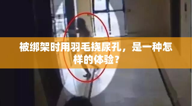 被绑架时用羽毛挠尿孔，是一种怎样的体验？